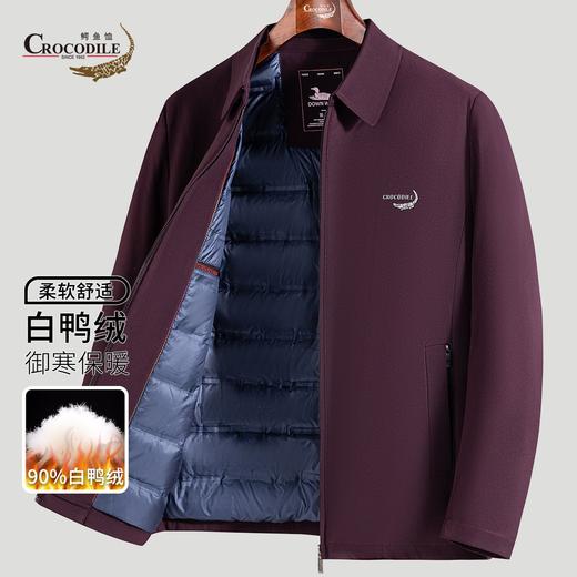 疯抢中！！建议拍大一码!【香港CROCODILE鳄鱼恤】90白鸭绒羽绒服/立领/翻领夹克 休闲商务时尚百搭 商品图6