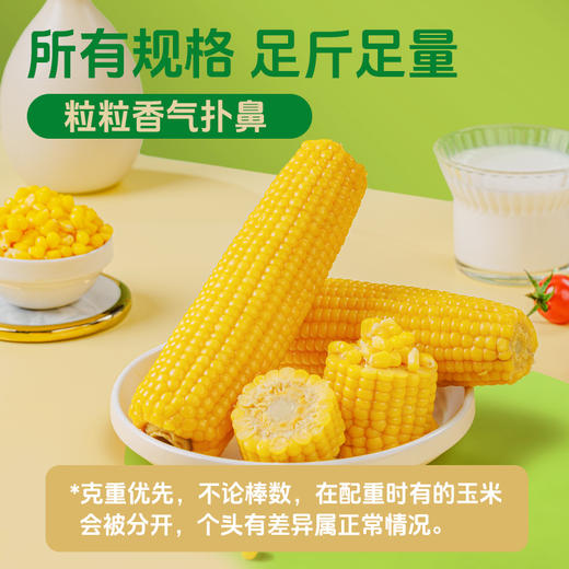 海伦刘老杆黃甜糯玉米袋装 商品图4