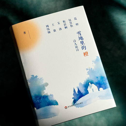 雪地里的橙 诗人论诗 精装 诗集 中国文学 商品图4