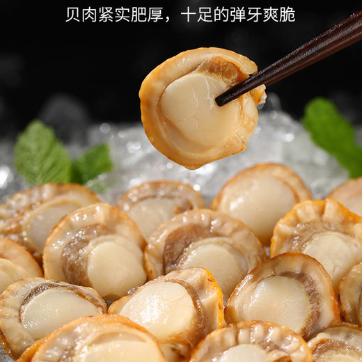 大连长海 状元海栉孔贝肉 商品图2