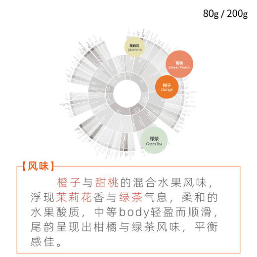 埃塞耶加雪菲咖啡豆果丁丁GOTITI水洗手冲精品新鲜烘焙 商品图1