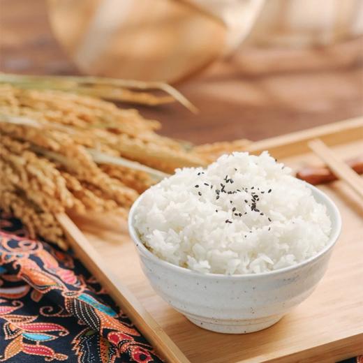 疯抢中！！25年10月新米【五常稻花香2号·有机大米】原产地直发 三标认证PICC承保 执行标准GB/T19266 5/10斤包装 商品图11