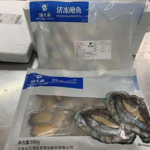大连长海 壮元海鲍鱼肉（去壳去内脏8分熟） 国家级海洋牧场 一类水质  商品图10