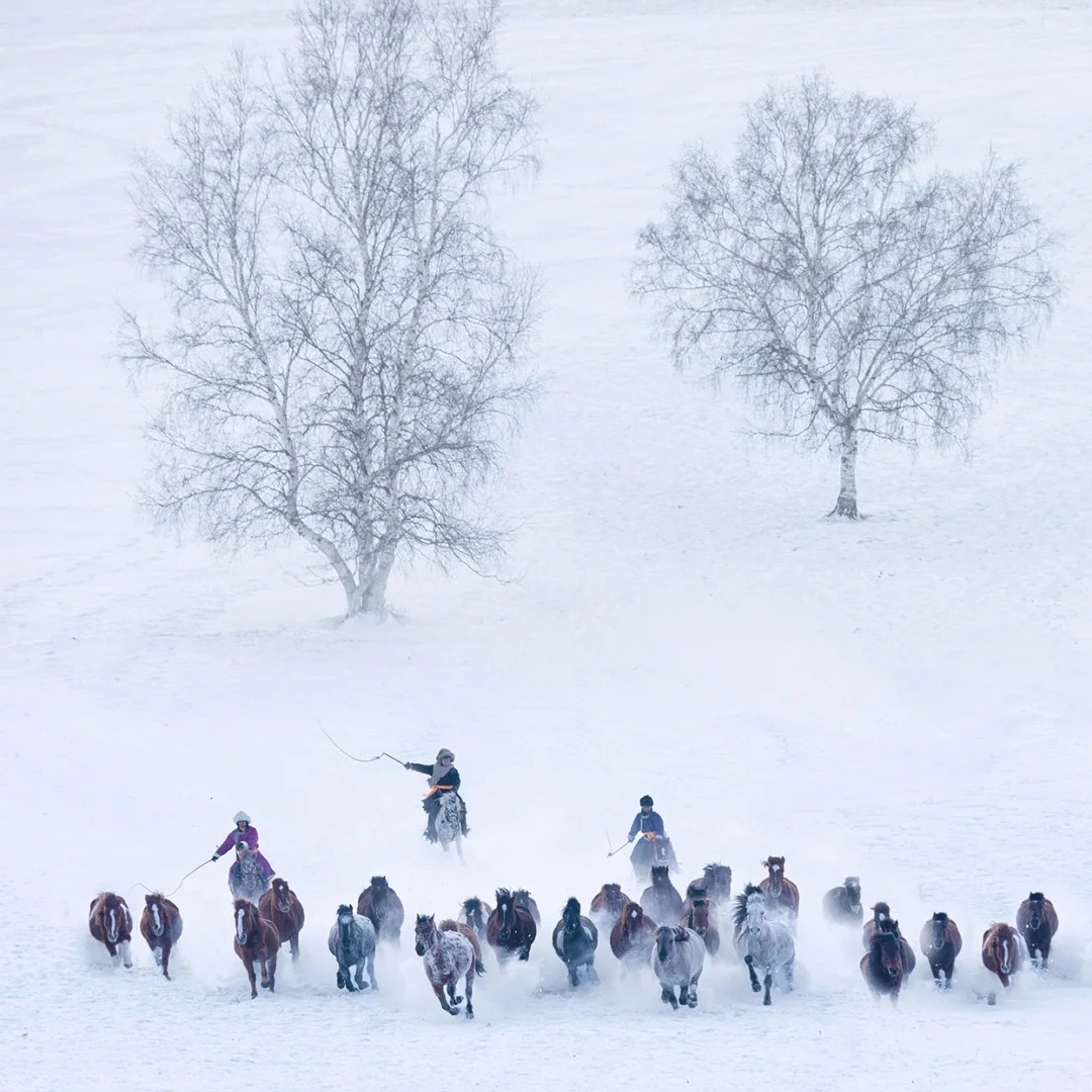 美宿丨冬韵牧歌·乌兰布统6天5晚