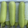 奶油小黄瓜【2斤装】~嘎嘎新鲜，嘎嘎爽脆，干燥季节补水神器。 商品缩略图2