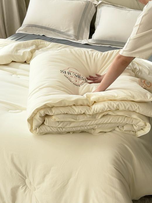 秋冬大豆子母被 柔软保暖四季可用被芯 商品图5