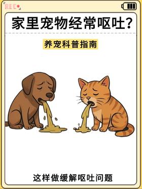 家里毛孩子老是出现呕吐问题吗？🤔