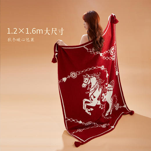 【故宫家居】千金裘马年毛毯半边绒沙发毯子午睡毯文创新婚生日礼物 商品图2