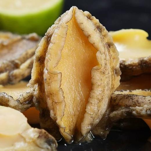 大连长海 壮元海活冻鲍鱼10-12头/斤（完整带壳） 国家级海洋牧场 一类水质 商品图1