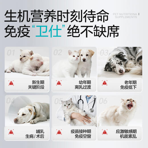 犬猫通用营养补充剂 乳铁蛋白生机营养膏 商品图1