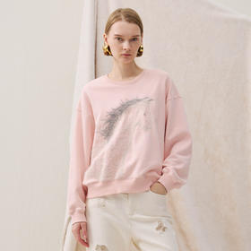 谜底卫衣长袖2025冬季新品抓毛卫衣小马绣花柔软亲肤女254MV1483