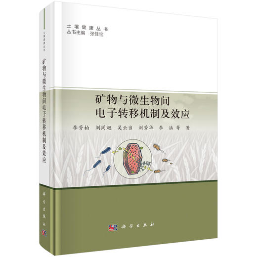 矿物与微生物间电子转移机制及效应 商品图0