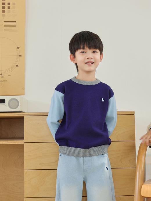 蓝狗时光机·学院风毛衣 商品图2