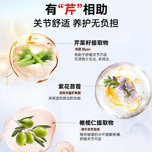 HerbsofGold和丽康 芹菜籽痛风灵胶囊 60粒/瓶【安琪全球购.保税仓直发】 商品图2