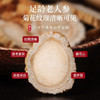 【福东海】人参片50克（5克*10包）/罐（0.8厚片） 商品缩略图2