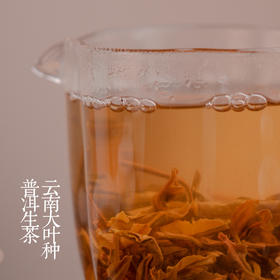 普洱生茶 | 2023云南春茶勐海大叶种晒青原料，3年份原料。罐装6袋便携装 | 清爽微苦秒回甘明黄透亮 鲜爽山野味