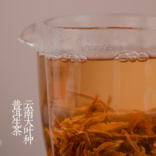普洱生茶 | 2023云南春茶勐海大叶种晒青原料，3年份原料。罐装6袋便携装 | 清爽微苦秒回甘明黄透亮 鲜爽山野味 商品图0