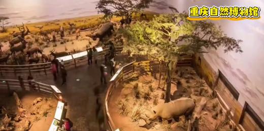 重庆自然博物馆 商品图0