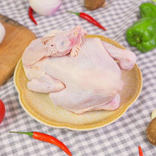 【200积分+69元】物源初见 童子鸡 林间散养天然健康 商品图2