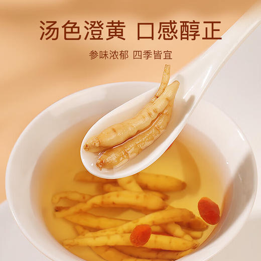 【福东海】太子参100克/瓶 商品图1