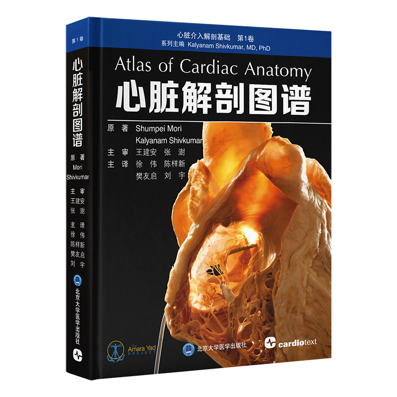 心脏解剖图谱   徐伟　陈样新　樊友启　刘宇 主译   北医社