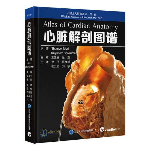 心脏解剖图谱   徐伟　陈样新　樊友启　刘宇 主译   北医社 商品图0