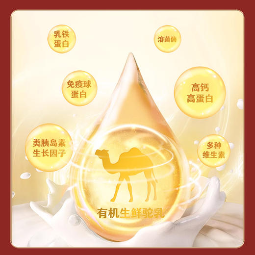 【有机纯驼乳粉试饮装20g*1】正广仁双峰驼奶双有机新疆奶源纯净高蛋白好喝不上火 商品图4