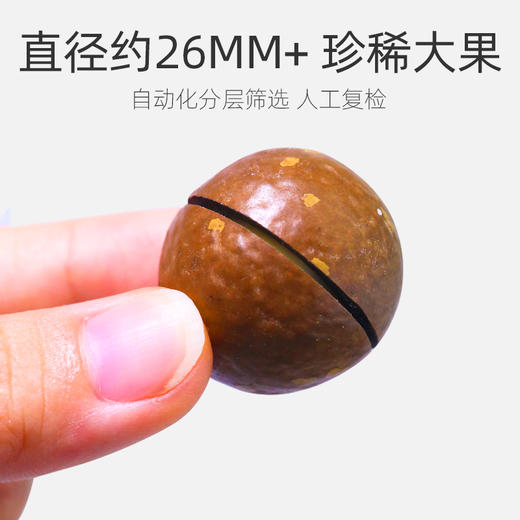 新农哥大颗粒夏威夷果450g/罐奶油味干果仁孕妇坚果【买一送一】 商品图3