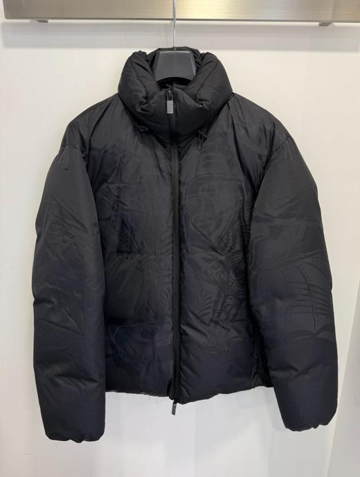 男款立领羽绒外套he007 商品图0