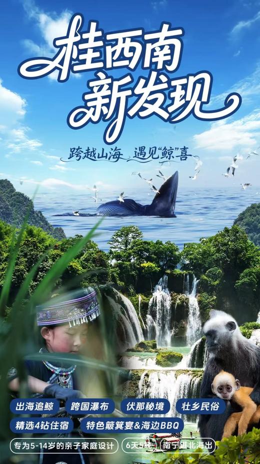 【广西】桂西南新发现 崇左北海涠洲岛亲子营 6天5晚 商品图0