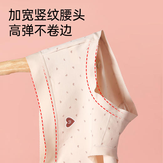 全棉印花舒适内裤（蝴蝶结） 商品图3