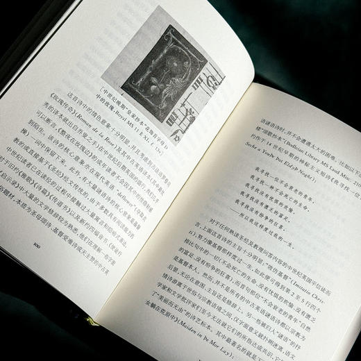 雪地里的橙 诗人论诗 精装 诗集 中国文学 商品图9