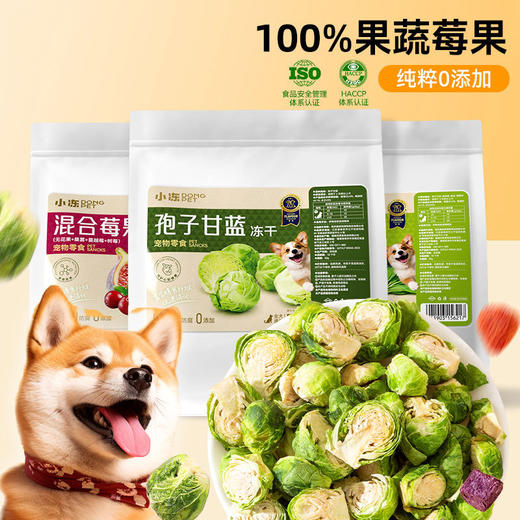 【长寿蔬菜果干】冻干孢子甘蓝莓果蔬菜主食伴侣补充维生素犬猫零食50g 商品图2