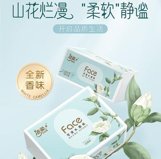 【秒杀20包！山花烂漫，柔软静谧~】洁柔抽纸白茶花香一箱3层120抽卫生纸face面巾纸批发洗脸巾餐巾纸大量纸巾纸。hb 商品图1