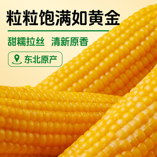 海伦刘老杆黃甜糯玉米袋装 商品图2
