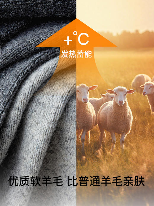 原价33.9元 限时折扣价21.9元 【体慕袜子】羊毛袜子男款秋冬保暖中筒袜抑菌防臭吸汗发热袜子男士加厚长袜 商品图1