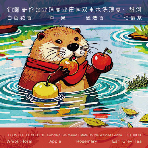 哥伦比亚瑰夏咖啡豆精品水洗甜河手冲浅焙 商品图0