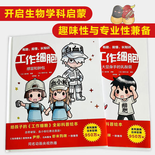 【6岁+】新书 工作细胞（5-6册）感冒和肿包+大显身手的乳酸菌 商品图2