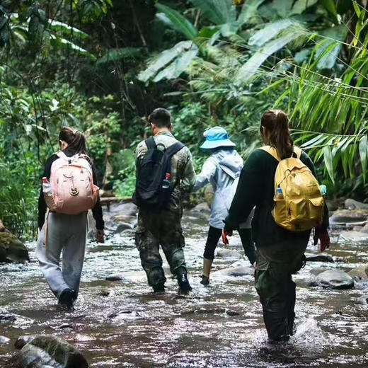 云南 | 版纳热带雨林纳卡野炊版2天1晚，户外更野！两日徒步和野炊、户外生存技能教学，户外露营/傣族野餐/捕鱼割蜂蜜/ATV越野摩托/雨林溯溪徒步/当地傣族向导！ 商品图13