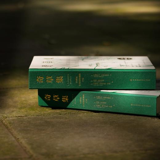 奇草集：18世纪古英伦植物园手记 商品图10