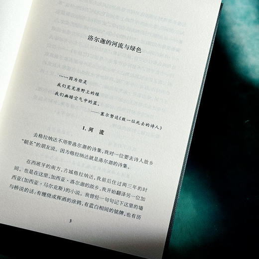 雪地里的橙 诗人论诗 精装 诗集 中国文学 商品图7