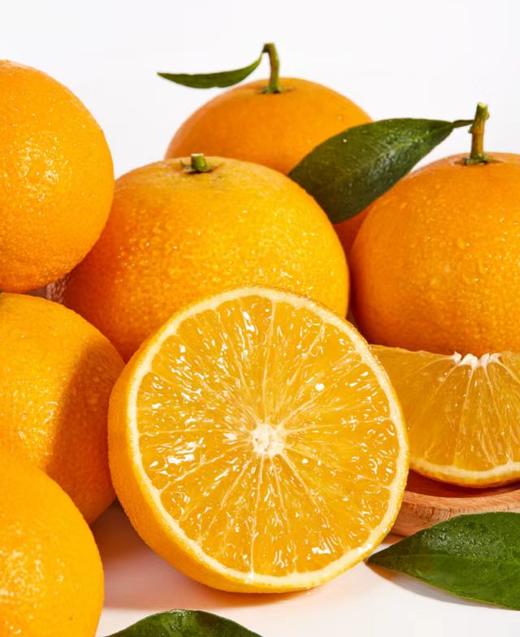 安氏美人橘 商品图0