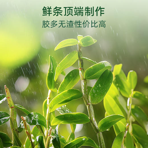 【福东海】霍山石斛原浆饮300ml（30ml×10）/盒 商品图3