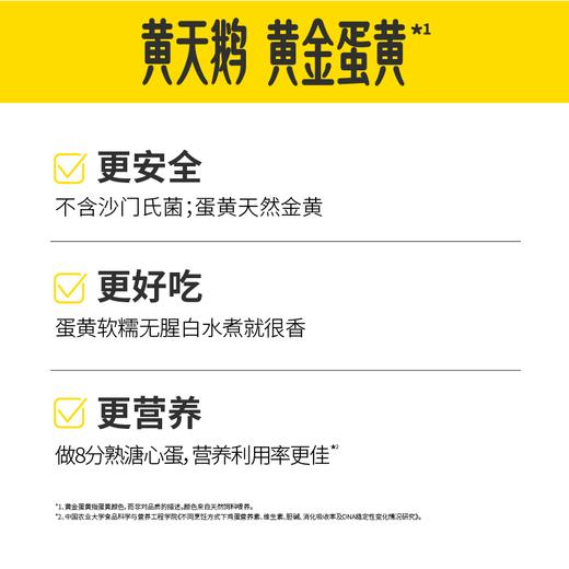 【一件包邮】黄天鹅可生食鸡蛋10枚530g/软糯无腥味 甘肃/青海/内蒙古/新疆/西藏/宁夏/海南/港澳台不发货 商品图2