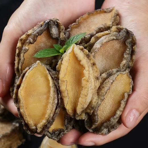 大连长海 壮元海活冻鲍鱼10-12头/斤（完整带壳） 国家级海洋牧场 一类水质 商品图2