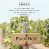 【勃艮第核心产区】丹特庄园·原瓶进口干红葡萄酒  12.5%vol 商品缩略图8