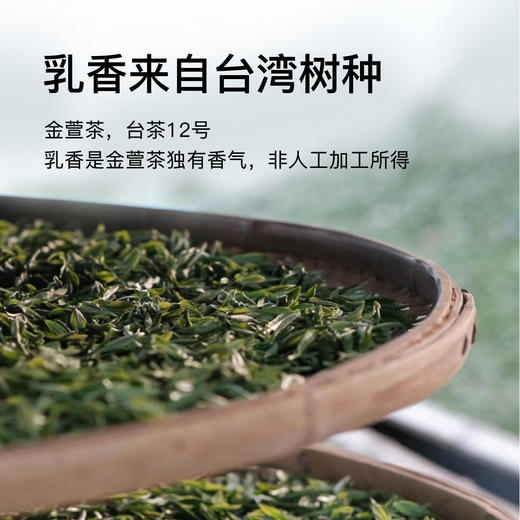 2024贝叶集薄雾梨语独立泡袋红茶 商品图1