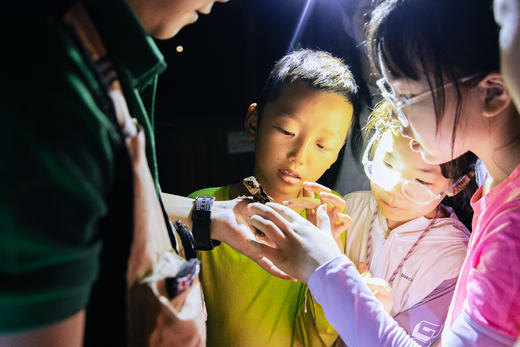 2026寒假【何以版纳】西双版纳5日亲子营 | 专属PBL项目式学习&原始森林公园研学通道+野像谷 vip 体验&5钻酒店4晚连住！ 商品图5