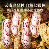 云南老品种七彩花生400g 原味/咸干味 人工挑选 颗粒饱满 商品缩略图1