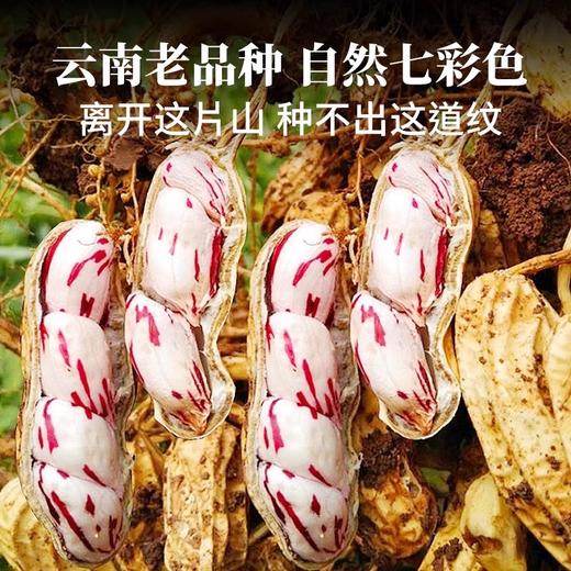 云南老品种七彩花生400g 原味/咸干味 人工挑选 颗粒饱满 商品图1